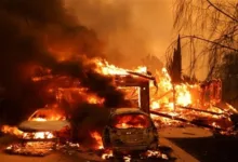Los Angeles Wildfires: