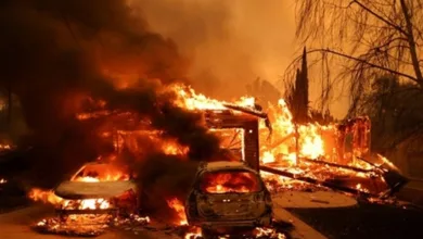 Los Angeles Wildfires: