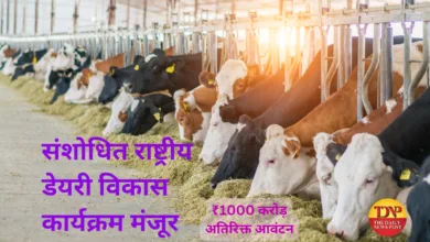 संशोधित राष्ट्रीय डेयरी विकास कार्यक्रम (NPDD) मंजूर, ₹1000 करोड़ अतिरिक्त आवंटन