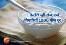 Curd, DahiLove, CurdIsCool, CurdBenefits, CurdForHealth, DailyDahi, DesiSuperfood, DahiPower, EatCurdStayHealthy, Superfood, GutHealth, DigestiveHealth, ImmuneBooster, ProbioticsPower